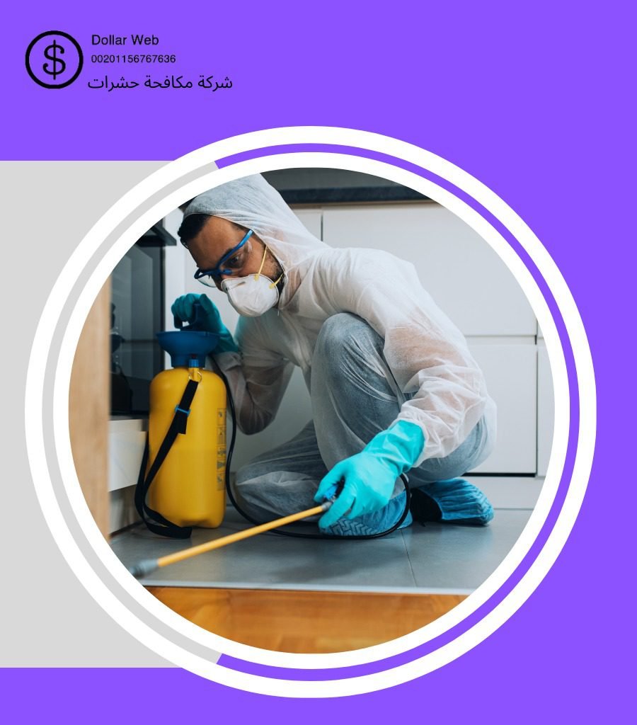شركة مكافحة الصراصير بجدة