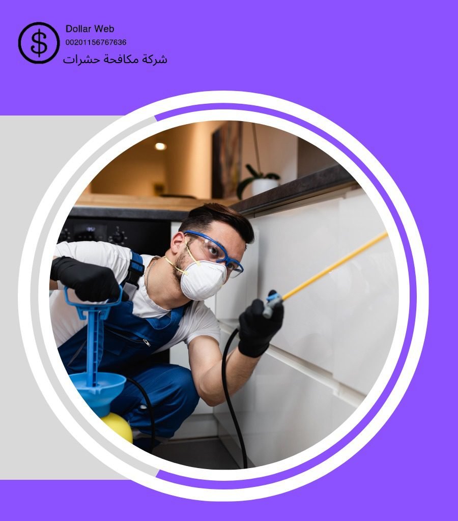 شركة مكافحة حشرات جده