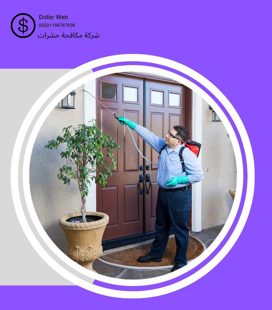 شركة مكافحة حشرات حي العزيزية
