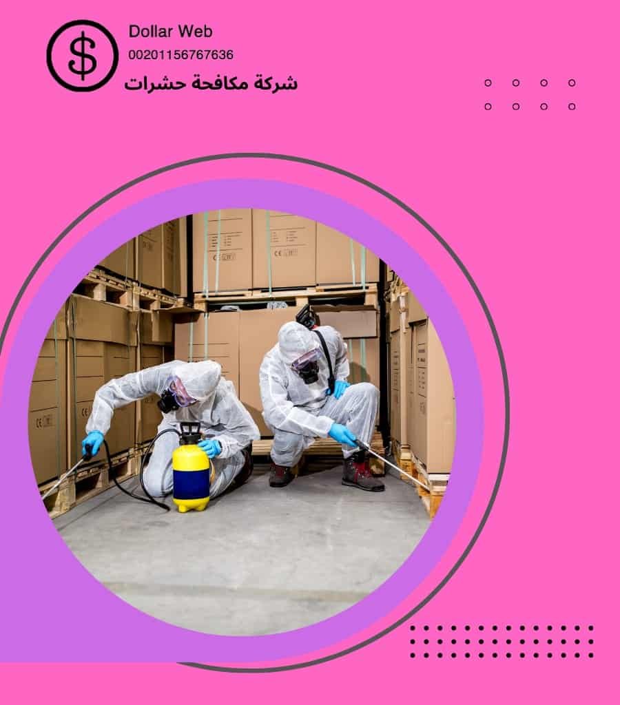 مكافحة حشرات الرويس بجدة