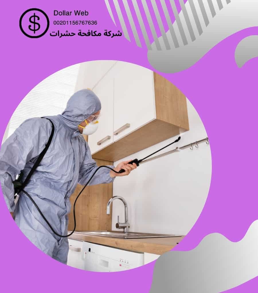 مكافحة حشرات أبحر بجدة