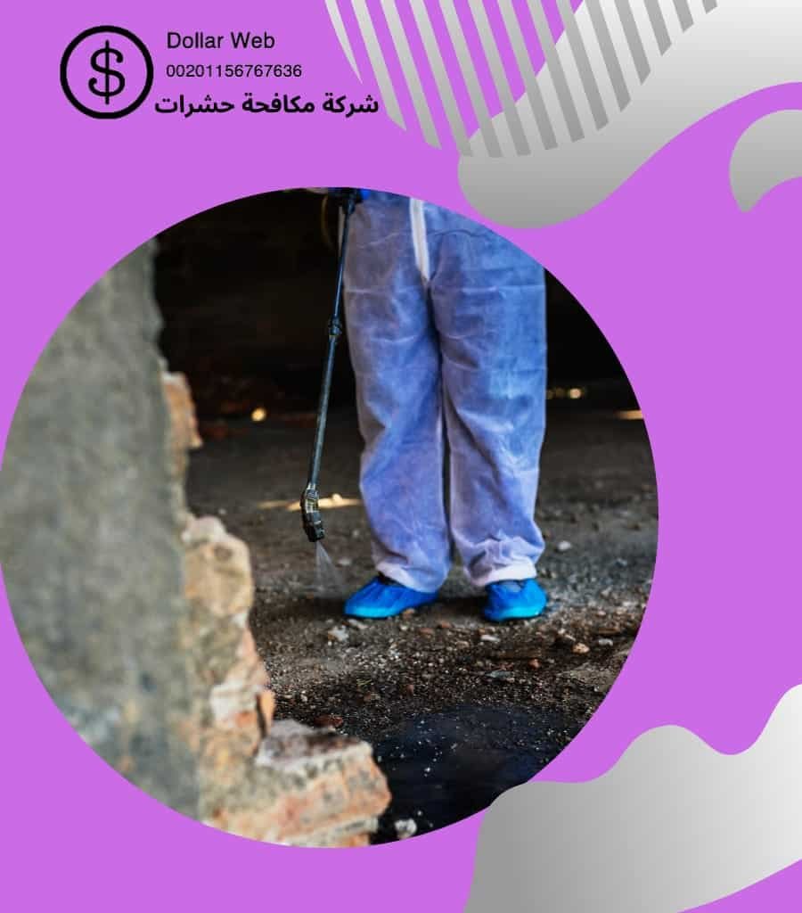 مكافحة حشرات حي الواحة بجدة